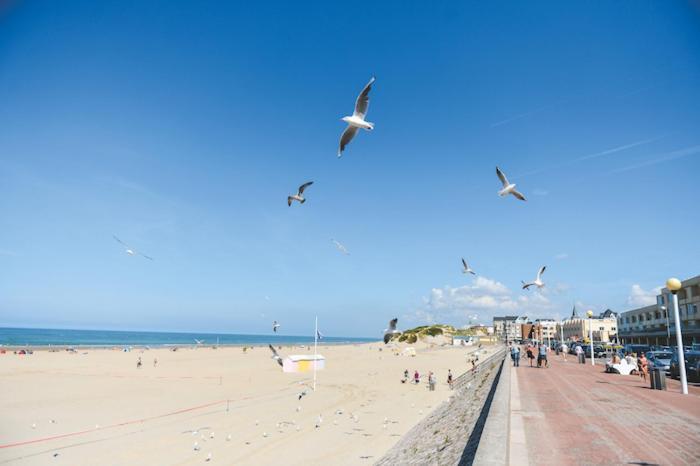 Appartement Lumineux, 400M De La Plage. Berck Exteriör bild